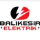 Balıkesir Elektrik photo